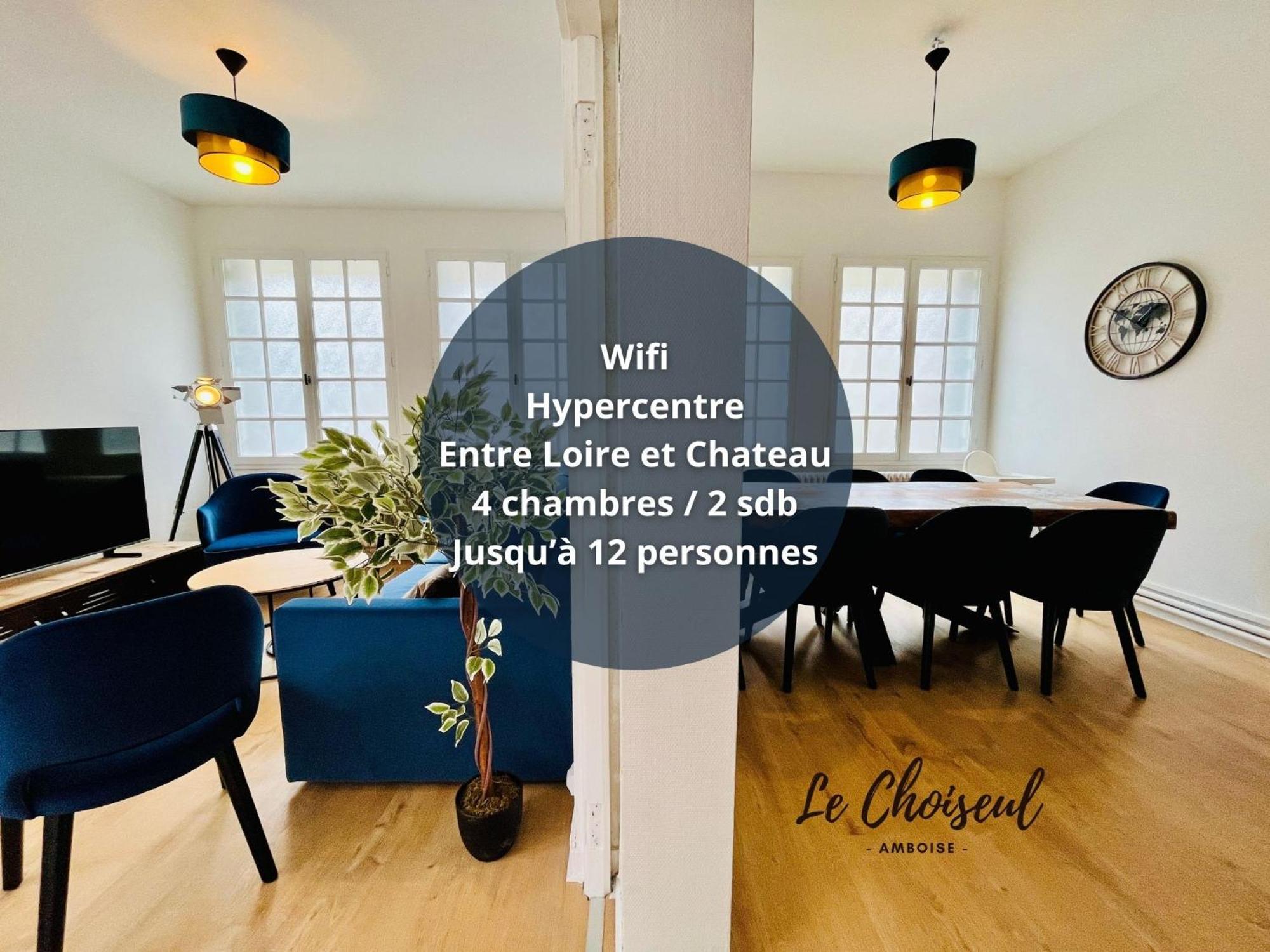 Le Choiseul - T5 Entre Loire Et Chateau Royal - Manoir De La Concorde Амбуаз Экстерьер фото